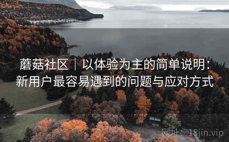 蘑菇社区|以体验为主的简单说明:新用户最容易遇到的问题与应对方式