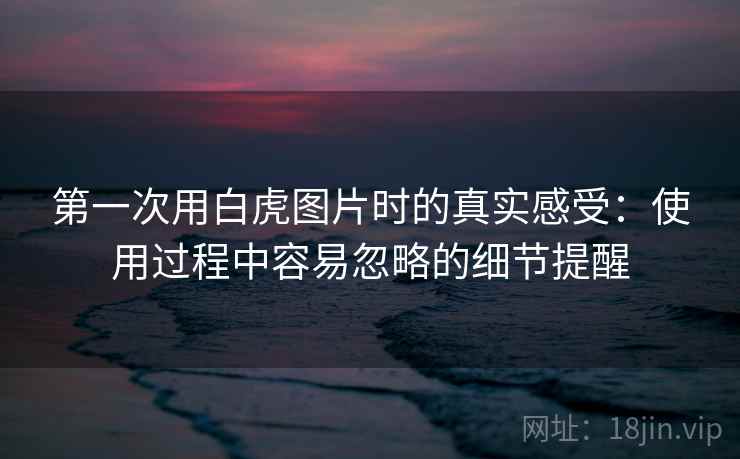 第一次用白虎图片时的真实感受：使用过程中容易忽略的细节提醒