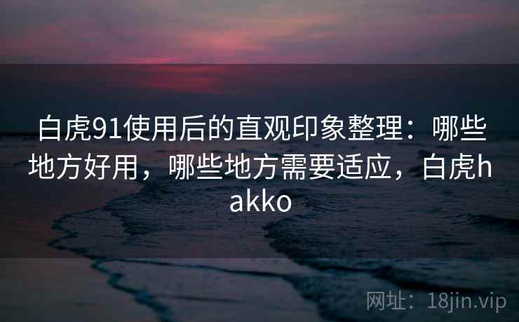 白虎91使用后的直观印象整理:哪些地方好用,哪些地方需要适应,白虎hakko