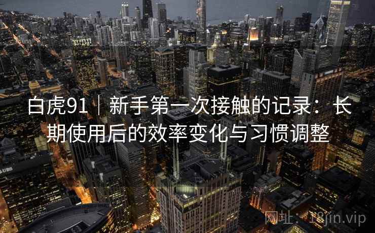 白虎91|新手第一次接触的记录:长期使用后的效率变化与习惯调整
