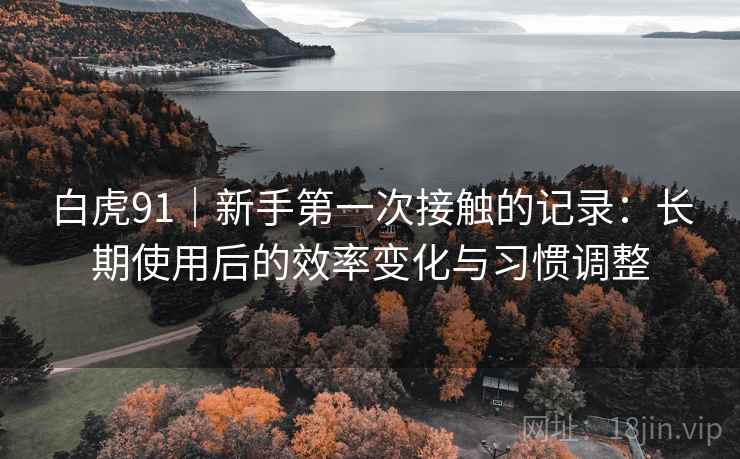 白虎91｜新手第一次接触的记录：长期使用后的效率变化与习惯调整