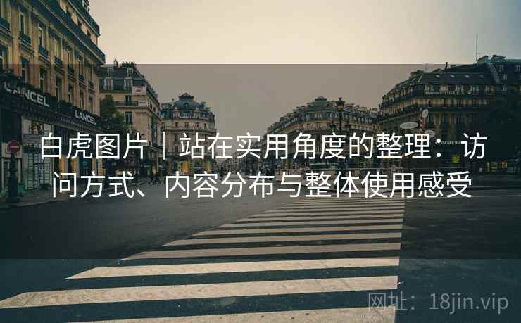 白虎图片｜站在实用角度的整理：访问方式、内容分布与整体使用感受