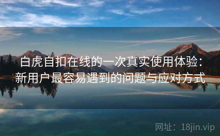 白虎自扣在线的一次真实使用体验：新用户最容易遇到的问题与应对方式