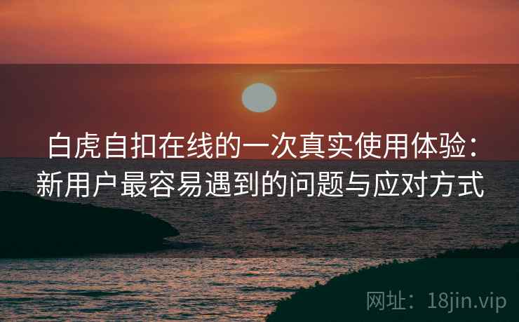 白虎自扣在线的一次真实使用体验：新用户最容易遇到的问题与应对方式