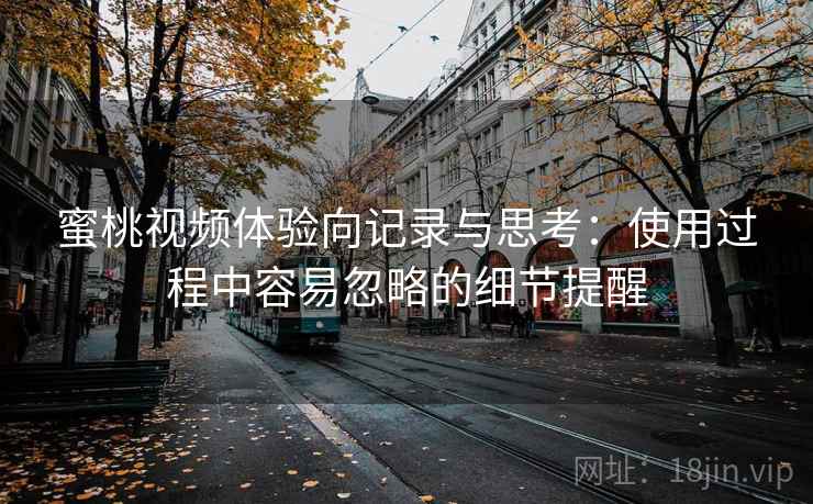 蜜桃视频体验向记录与思考：使用过程中容易忽略的细节提醒