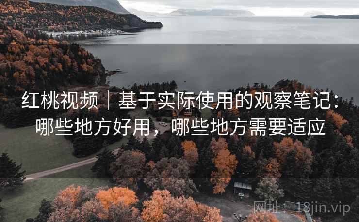 红桃视频｜基于实际使用的观察笔记：哪些地方好用，哪些地方需要适应