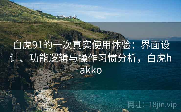 白虎91的一次真实使用体验：界面设计、功能逻辑与操作习惯分析，白虎hakko