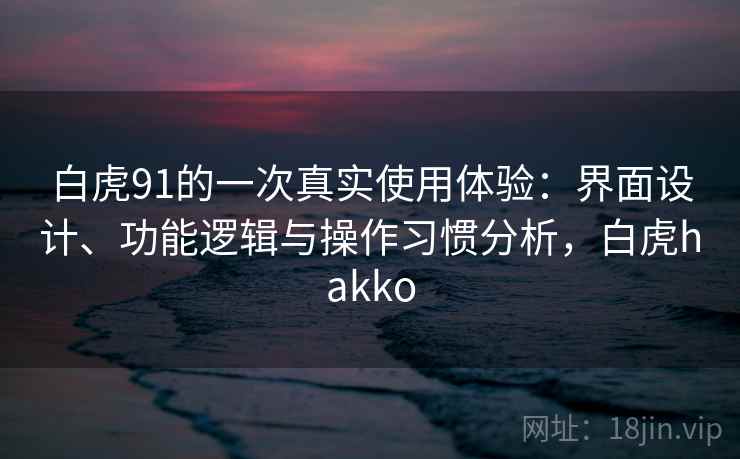 白虎91的一次真实使用体验：界面设计、功能逻辑与操作习惯分析，白虎hakko