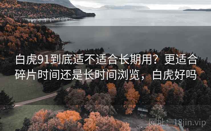 白虎91到底适不适合长期用？更适合碎片时间还是长时间浏览，白虎好吗