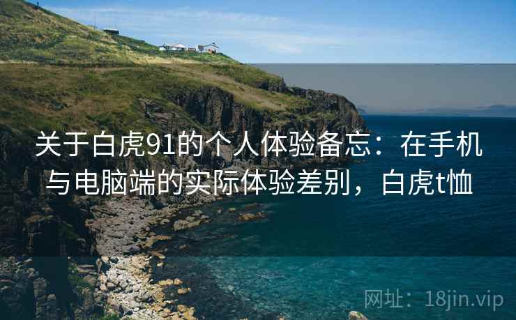 关于白虎91的个人体验备忘：在手机与电脑端的实际体验差别，白虎t恤
