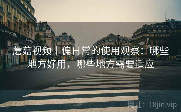 蘑菇视频|偏日常的使用观察:哪些地方好用,哪些地方需要适应