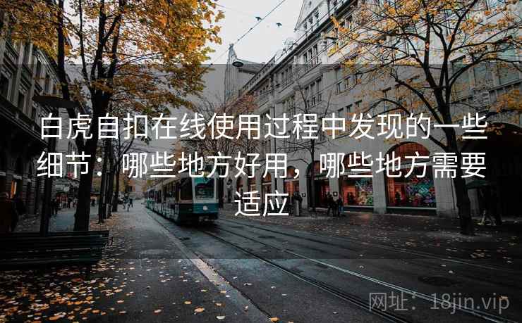 白虎自扣在线使用过程中发现的一些细节:哪些地方好用,哪些地方需要适应