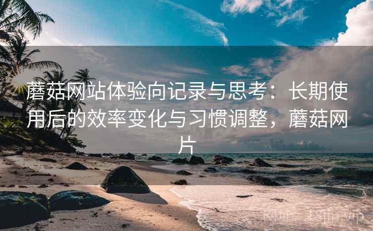 蘑菇网站体验向记录与思考:长期使用后的效率变化与习惯调整,蘑菇网片
