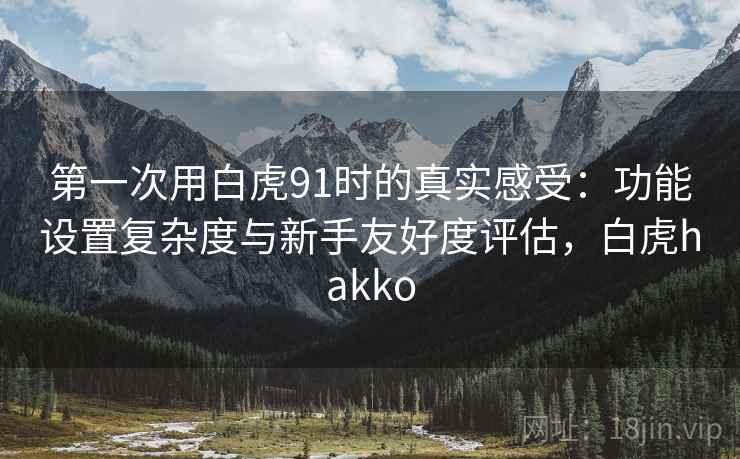 第一次用白虎91时的真实感受:功能设置复杂度与新手友好度评估,白虎hakko