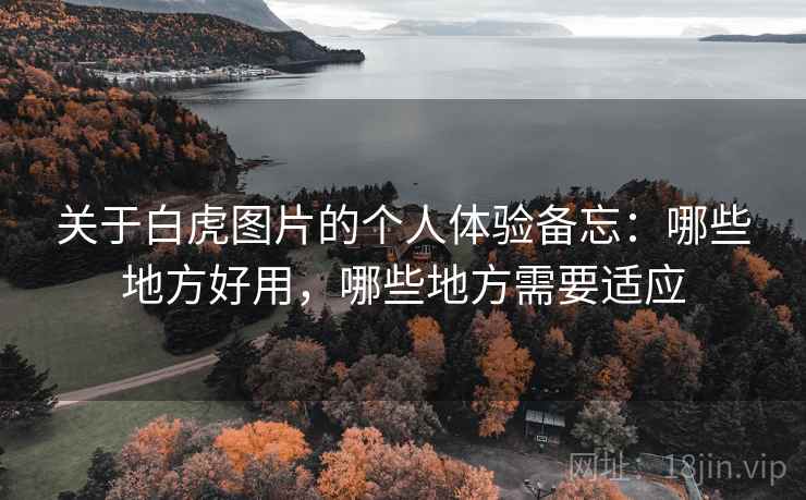 关于白虎图片的个人体验备忘:哪些地方好用,哪些地方需要适应