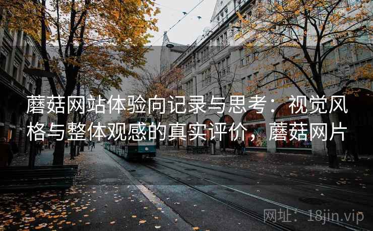 蘑菇网站体验向记录与思考:视觉风格与整体观感的真实评价,蘑菇网片