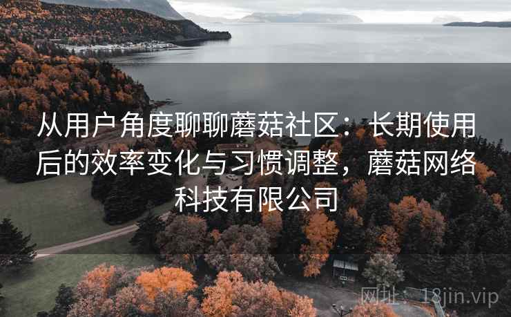 从用户角度聊聊蘑菇社区：长期使用后的效率变化与习惯调整，蘑菇网络科技有限公司