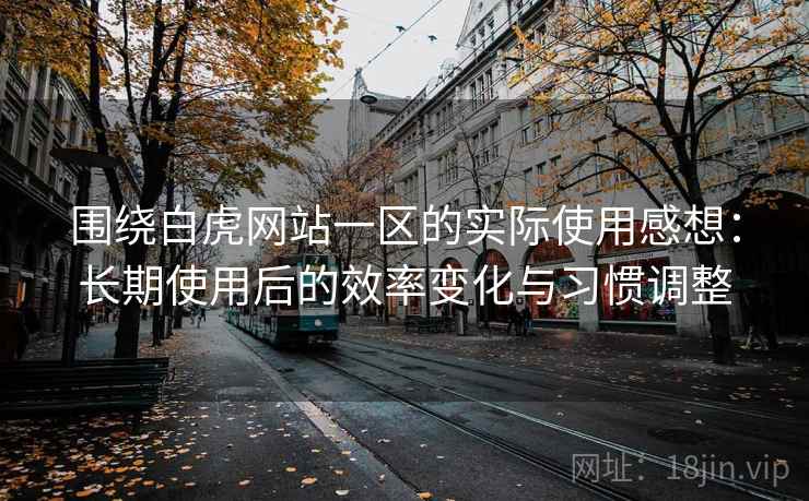 围绕白虎网站一区的实际使用感想：长期使用后的效率变化与习惯调整