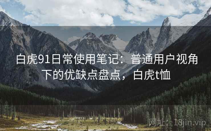 白虎91日常使用笔记：普通用户视角下的优缺点盘点，白虎t恤