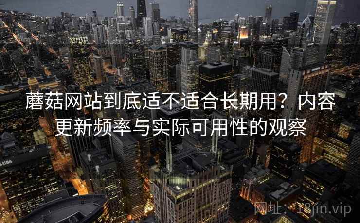 蘑菇网站到底适不适合长期用？内容更新频率与实际可用性的观察