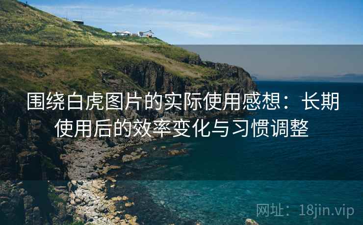 围绕白虎图片的实际使用感想：长期使用后的效率变化与习惯调整